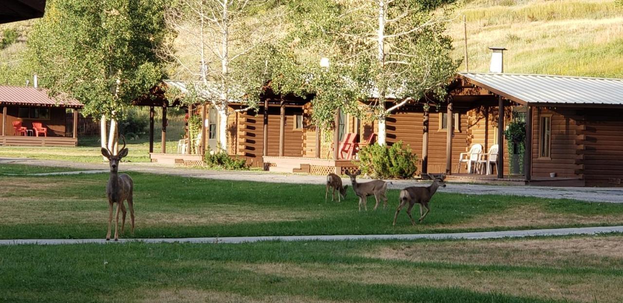 High Country Lodge And Cabins Pagosa Springs Eksteriør billede